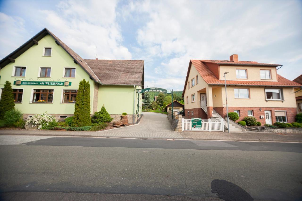 Ferienhaus Og1 "Westerwald Blick" Martinfeld Exterior photo